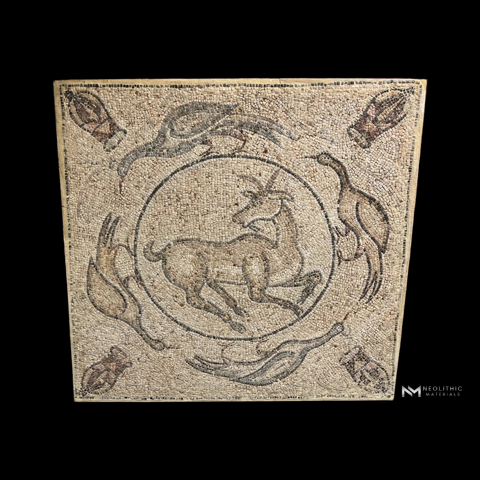 MO 06 - Image 1