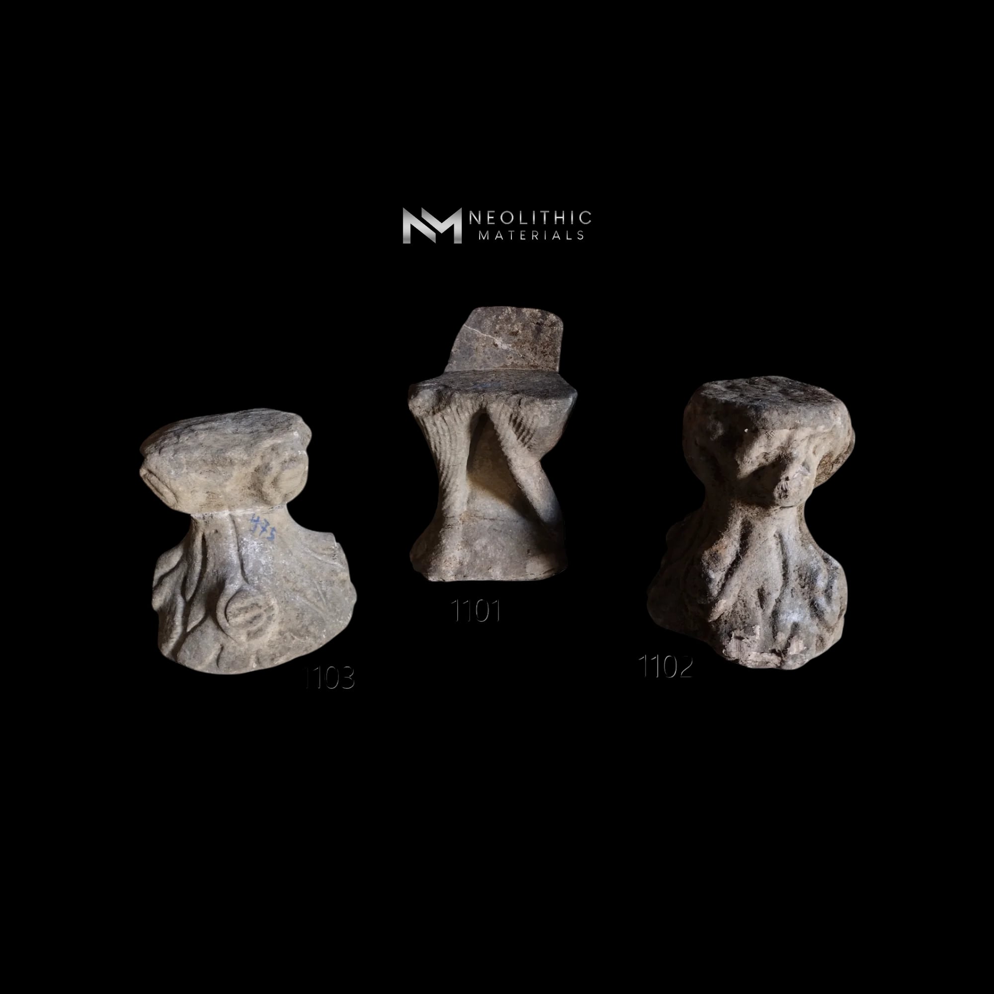 MS1100 - IB101 - Image 1